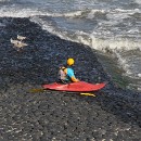 FG Mannheim 24 Bartmann Horst